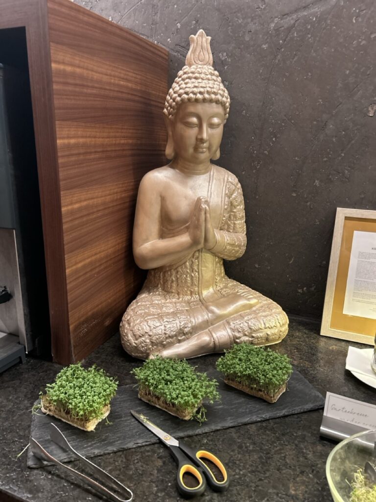 Gallery image 21