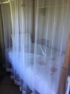 Gallery image 13