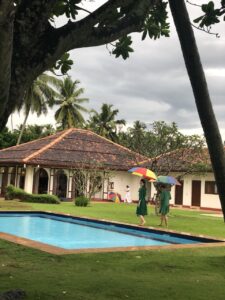 Gallery image 21