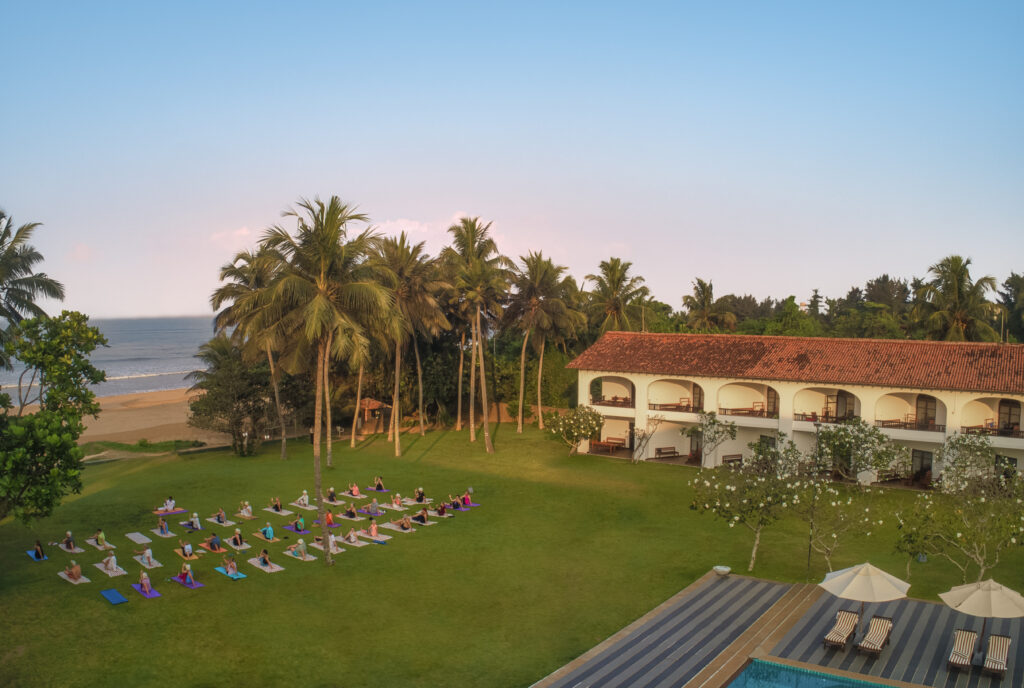 Gallery image 14